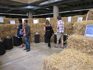 Eco.Si 2014. Fira de la cultura ecol&ograve;gica de Girona