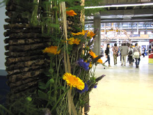 Eco.Si 2014. Fira de la cultura ecol&ograve;gica de Girona