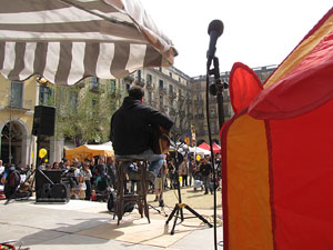 Estel&agrave;nia, Fira independentista