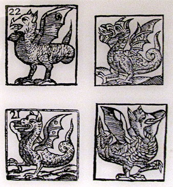 Dracs i dragolins segons gravats antics