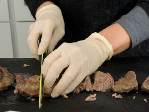 FIPORC 2015. Fira del porc de Riudellots de la Selva. Presentaci&oacute; al Vol de Girona