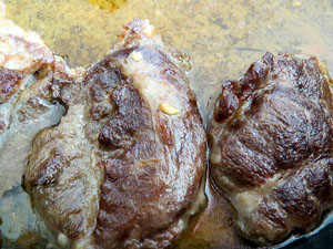 FIPORC 2015. Fira del porc de Riudellots de la Selva. Presentaci&oacute; al Vol de Girona