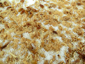 FIPORC 2015. Fira del porc de Riudellots de la Selva. Presentaci&oacute; al Vol de Girona