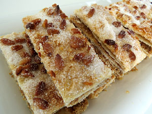 FIPORC 2015. Fira del porc de Riudellots de la Selva. Presentaci&oacute; al Vol de Girona