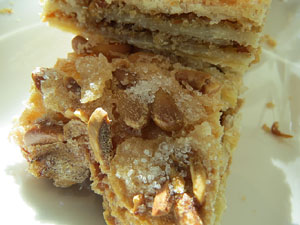 FIPORC 2015. Fira del porc de Riudellots de la Selva. Presentaci&oacute; al Vol de Girona