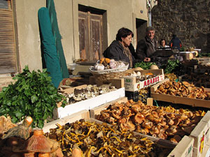 11a. Fira del Bolet i Cuina del Bolet a Llagostera