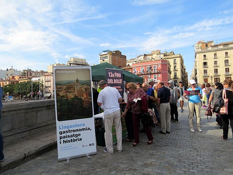 Presentació de la 12a. Fira del Bolet de Llagostera