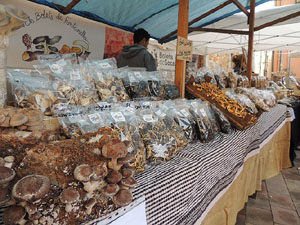12a. Fira del Bolet i Cuina del Bolet a Llagostera
