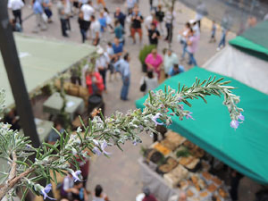 12a. Fira del Bolet i Cuina del Bolet a Llagostera