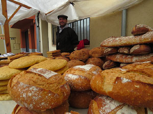 12a. Fira del Bolet i Cuina del Bolet a Llagostera