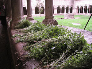 Festa de la Mare de D&eacute;u de Gr&agrave;cia i de Bell-ull als claustres de la Catedral de Girona