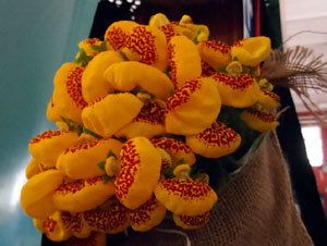 Nit de Flors i Sabors al Mercat del Lle&oacute;