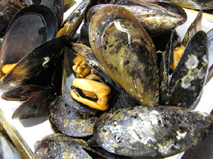 Nit de Flors i Sabors al Mercat del Lle&oacute;