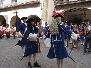 Clavetejat de la bandera a la plaça del Vi
