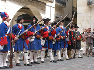 Jura de la bandera a la pla&ccedil;a del Vi