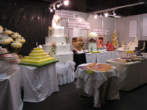 Sal&oacute; Tot Nuvis 2013