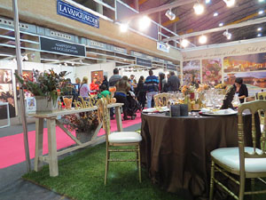 Sal&oacute; Tot Nuvis 2014