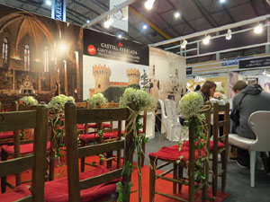 Sal&oacute; Tot Nuvis 2014