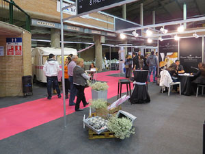 Sal&oacute; Tot Nuvis 2014