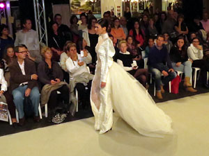 Sal&oacute; Tot Nuvis 2014