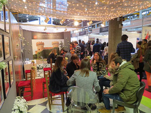 Sal&oacute; Tot Nuvis 2015 a Fira de Girona