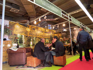 Sal&oacute; Tot Nuvis 2015 a Fira de Girona