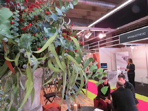 Sal&oacute; Tot Nuvis 2015 a Fira de Girona