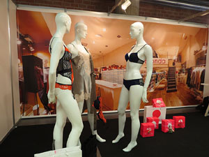 Sal&oacute; Tot Nuvis 2015 a Fira de Girona