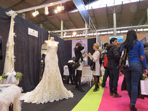 Sal&oacute; Tot Nuvis 2015 a Fira de Girona