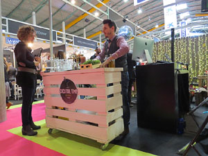 Sal&oacute; Tot Nuvis 2015 a Fira de Girona