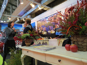 Sal&oacute; Tot Nuvis 2015 a Fira de Girona