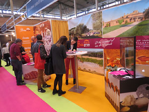 Sal&oacute; Tot Nuvis 2015 a Fira de Girona