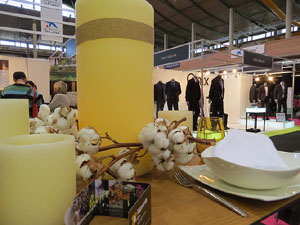 Sal&oacute; Tot Nuvis 2015 a Fira de Girona