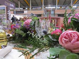 Sal&oacute; Tot Nuvis 2015 a Fira de Girona