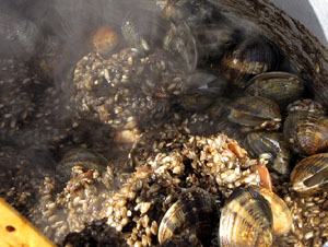 Tastets d'arr&ograve;s de Pals