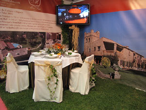 Sal&oacute; TOT NUVIS 2012