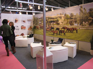 Sal&oacute; TOT NUVIS 2012