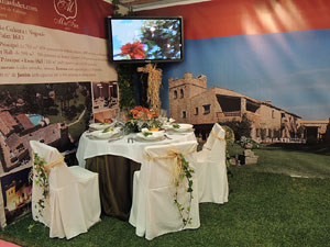 Sal&oacute; TOT NUVIS 2012