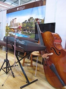 Sal&oacute; TOT NUVIS 2012