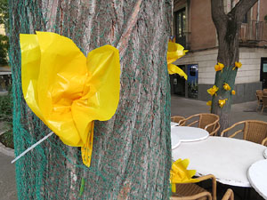 Votacions del 9N a Girona