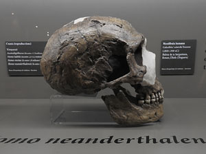 Inauguraci&oacute; de l'exposici&oacute; 'El geni culinari. Innovacions que marquen la nostra cuina' al MAC de Sant Pere de Galligants