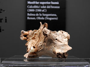 Inauguraci&oacute; de l'exposici&oacute; 'El geni culinari. Innovacions que marquen la nostra cuina' al MAC de Sant Pere de Galligants