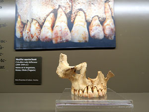 Inauguraci&oacute; de l'exposici&oacute; 'El geni culinari. Innovacions que marquen la nostra cuina' al MAC de Sant Pere de Galligants