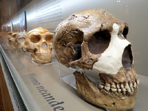 Inauguraci&oacute; de l'exposici&oacute; 'El geni culinari. Innovacions que marquen la nostra cuina' al MAC de Sant Pere de Galligants