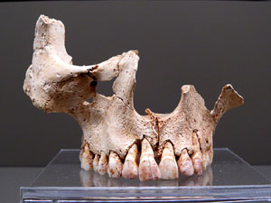 Inauguraci&oacute; de l'exposici&oacute; 'El geni culinari. Innovacions que marquen la nostra cuina' al MAC de Sant Pere de Galligants