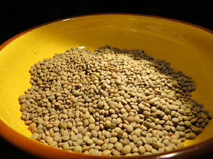 Inauguració de l'exposició A la taula d'Estelina, al Museu d'Història dels Jueus de Girona