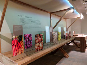 Inauguració de l'exposició A la taula d'Estelina, al Museu d'Història dels Jueus de Girona