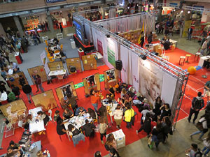 Expojove 2017