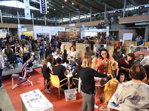 Expojove 2017