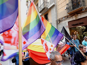 Manifestaci&oacute; contra l'homof&ograve;bia i la transf&ograve;bia, organitzada pel Consell Municipal de les Lesbianes, Gais,